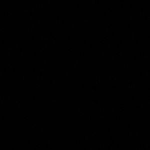 Meet your Posher, Haylie